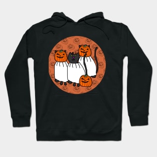 Horror Cats in Halloween Pumpkin Head Costumes Hoodie